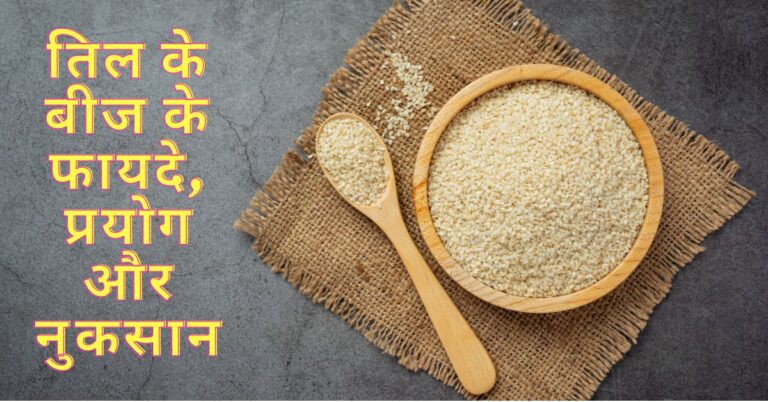 Sesame Seeds in Hindi